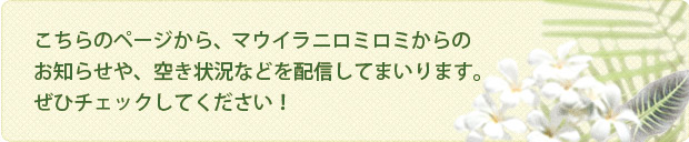 こちらのページから、マウイラニロミロミのお得なキャンペーン情報を配信してまいります。お見逃しのないよう、ぜひご覧ください。